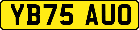 YB75AUO
