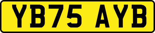 YB75AYB