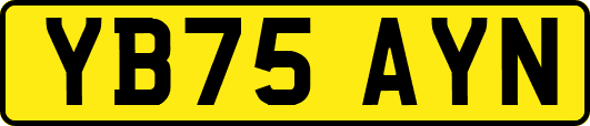 YB75AYN