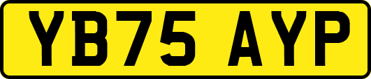 YB75AYP