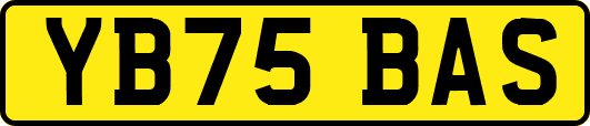 YB75BAS