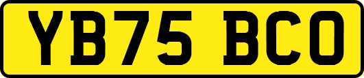 YB75BCO