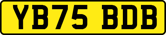 YB75BDB