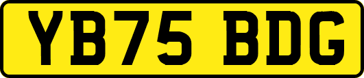 YB75BDG