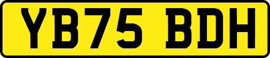 YB75BDH