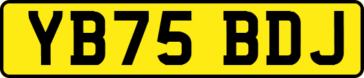 YB75BDJ