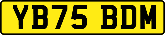 YB75BDM