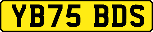 YB75BDS