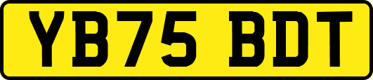 YB75BDT