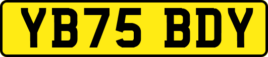 YB75BDY