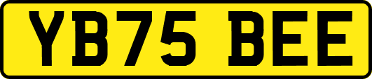 YB75BEE