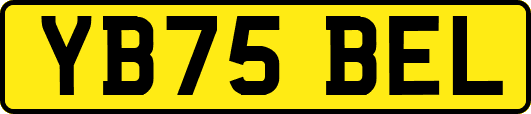YB75BEL