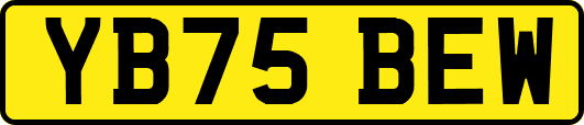 YB75BEW