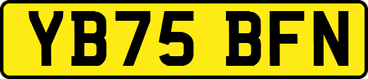 YB75BFN