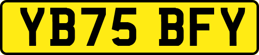YB75BFY