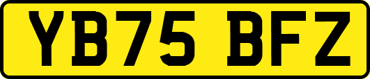 YB75BFZ