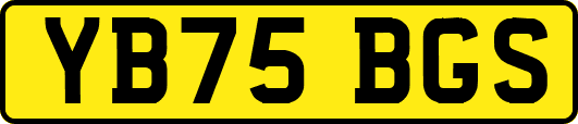 YB75BGS