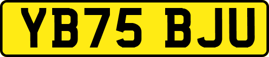 YB75BJU