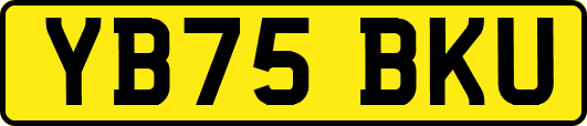 YB75BKU