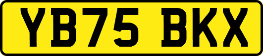 YB75BKX