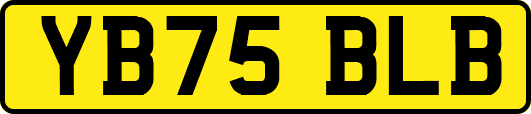 YB75BLB