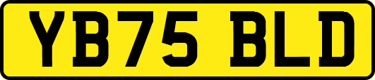 YB75BLD
