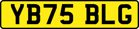 YB75BLG