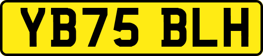 YB75BLH