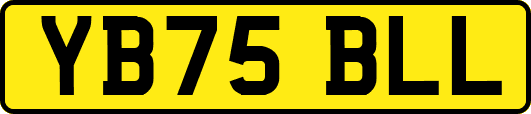 YB75BLL