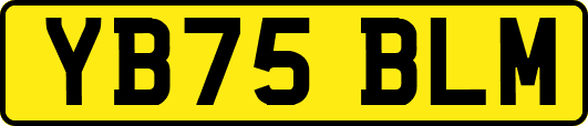 YB75BLM