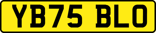 YB75BLO