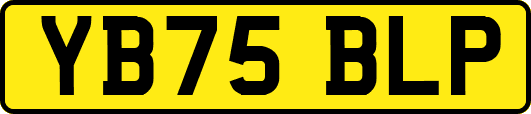 YB75BLP