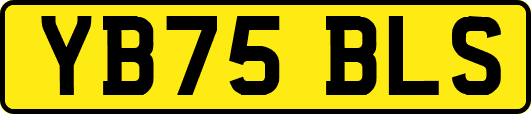 YB75BLS