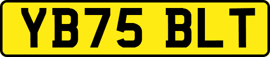YB75BLT