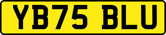 YB75BLU