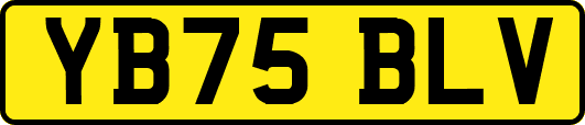 YB75BLV
