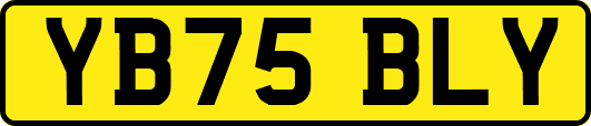 YB75BLY