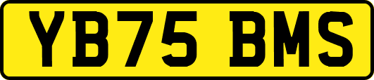 YB75BMS