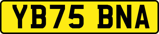 YB75BNA