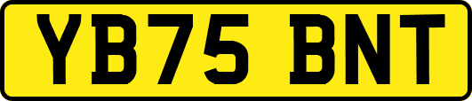 YB75BNT