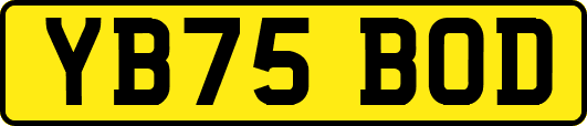 YB75BOD