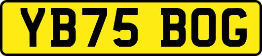 YB75BOG