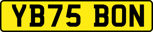 YB75BON