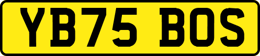 YB75BOS