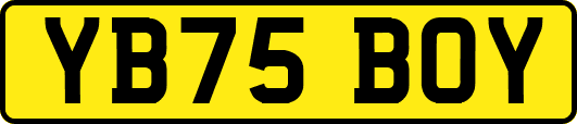 YB75BOY