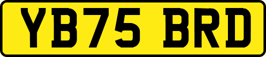 YB75BRD
