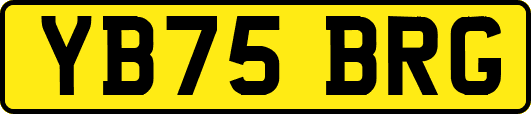 YB75BRG