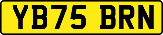 YB75BRN