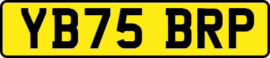 YB75BRP