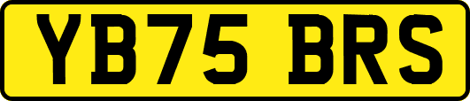 YB75BRS